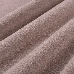 Stella (elderberry)